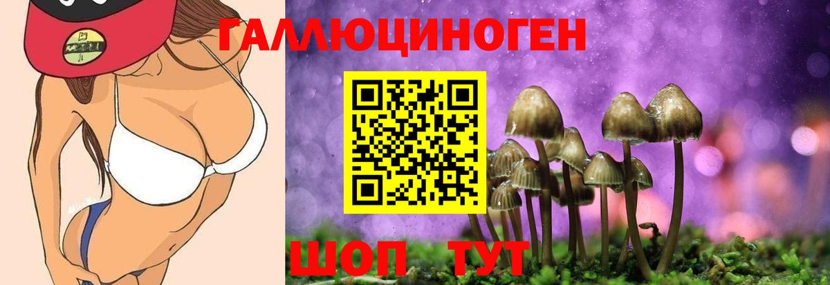 Псилоцибиновые грибы Magic Shrooms  Псилоцибиновые грибы мицелий  Вход с VPN  Кудрово 